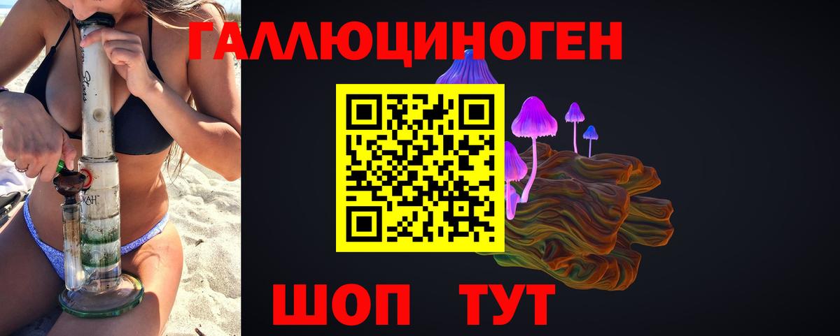 Тихорецк  Псилоцибиновые грибы ЛСД  Вход с VPN 