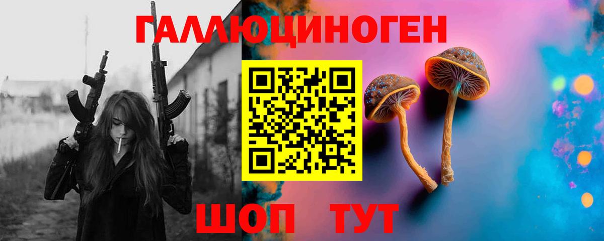 Галлюциногенные грибы Psilocybine cubensis Тихорецк
